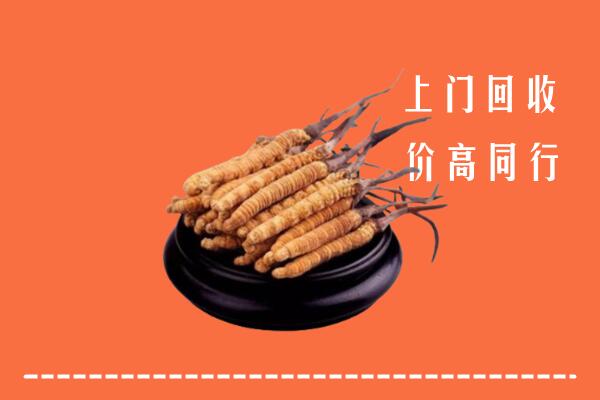高价求购：阜新细河区回收散虫草
